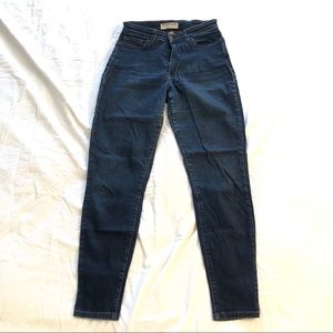 Dark Wash American Apparel Skinny Jeans Size 26